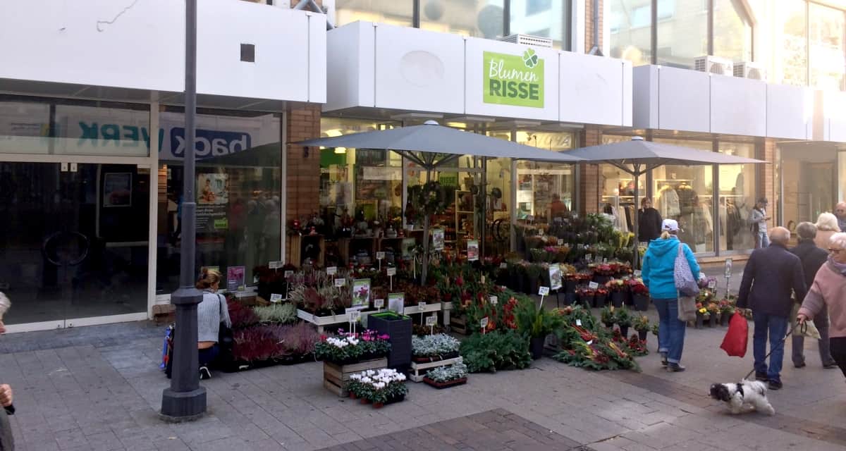 Blumen Risse Solingen