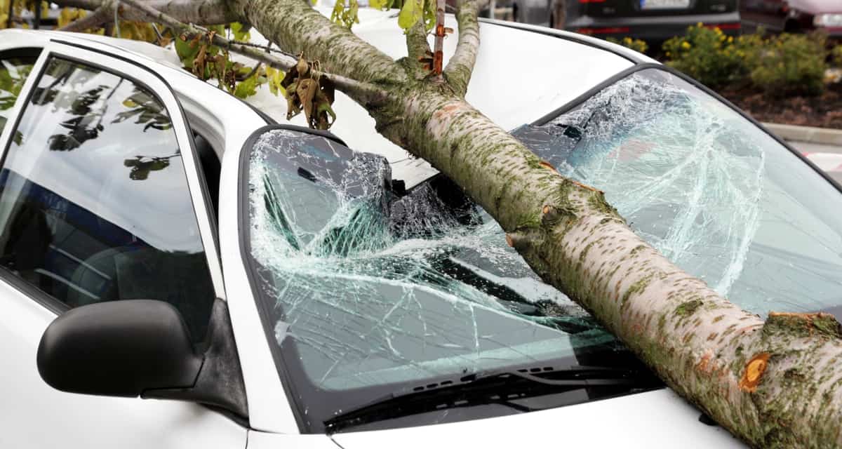 Baum zerstört geparkten PKW Wuppertal total Aktuelle Nachrichten und