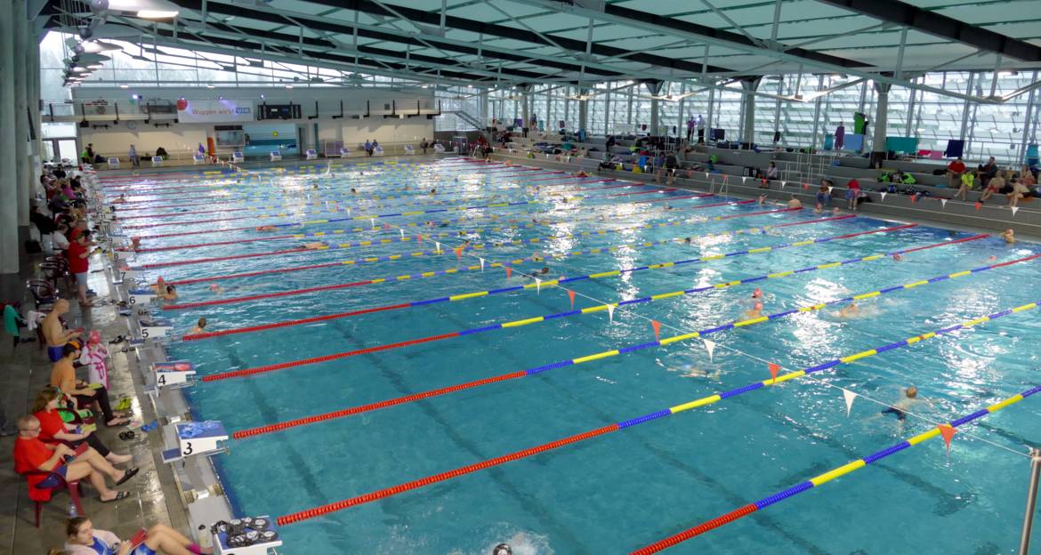 Großer Andrang beim 24-Stunden-Schwimmen - Wuppertal total: Aktuelle  Nachrichten und lokale News