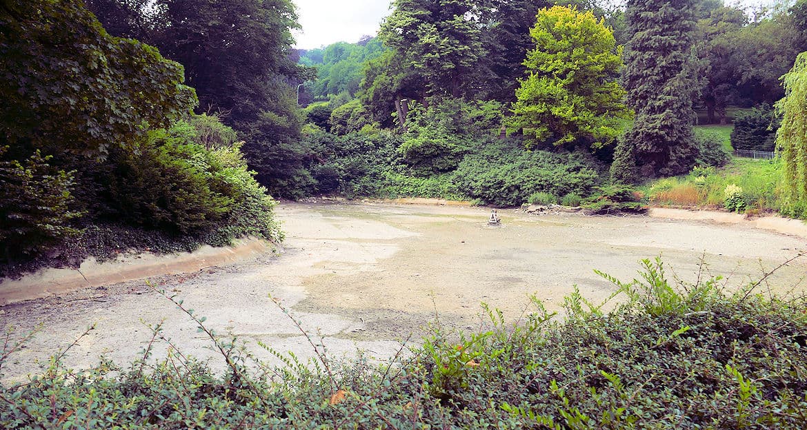 Trockener Teich kein Grund zur Wuppertal total Aktuelle