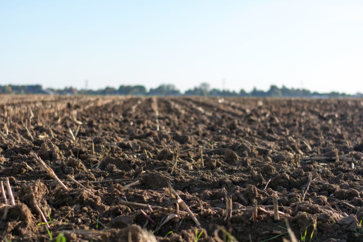 eye-level-photo-of-cultivated-land-stockpack-pexels Eye level photo of cultivated land