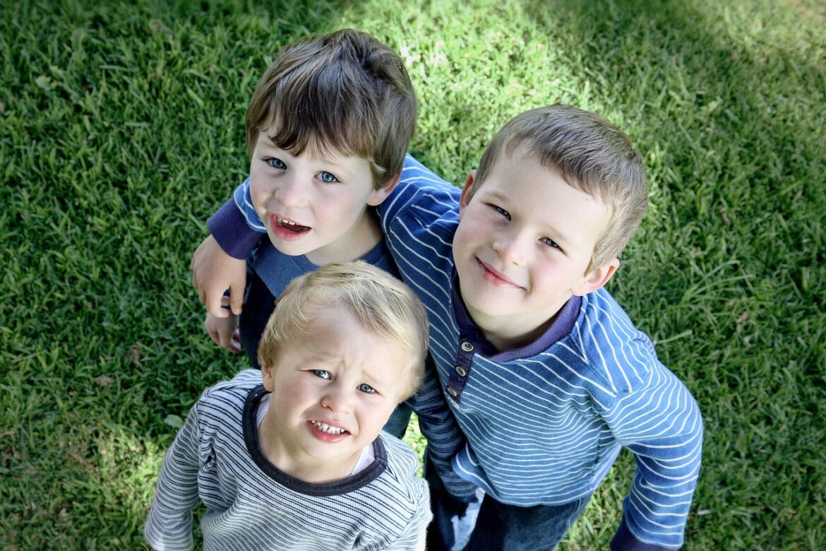 brothers-boys-children-stockpack-pixabay brothers, boys, children