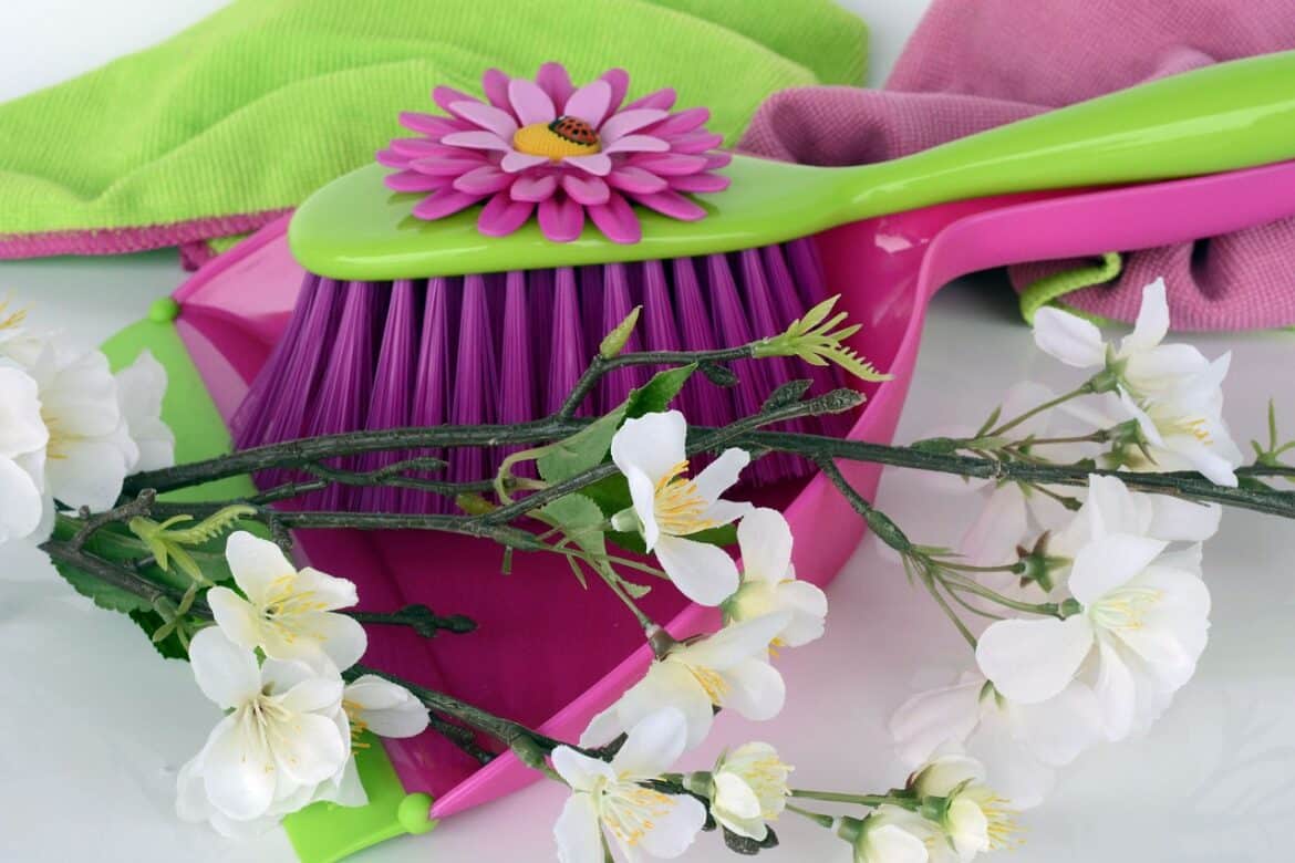 clean, spring cleaning, shovel, broom, sweeping set, flower, pink, green, mopping cloth, cloth, clean up, flower background, beautiful flowers, sweep, flower wallpaper, dirt, sweep up, coupon, nature, spring cleaning, spring cleaning, spring cleaning, spring cleaning, spring cleaning