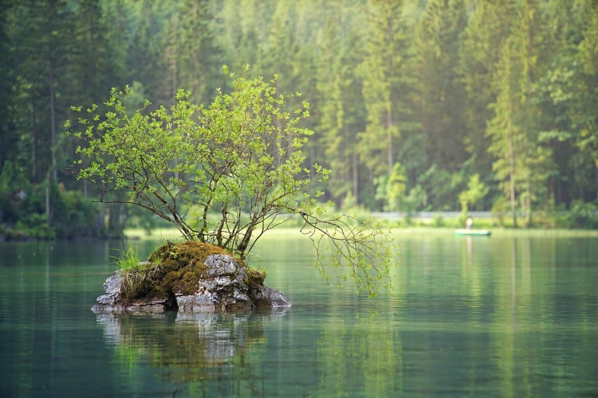 waters, nature, lake, flow, water, landscape, forest, trees, island, summer, green, coniferous forest, idyllic, lake, lake, lake, lake, lake, forest, forest, island