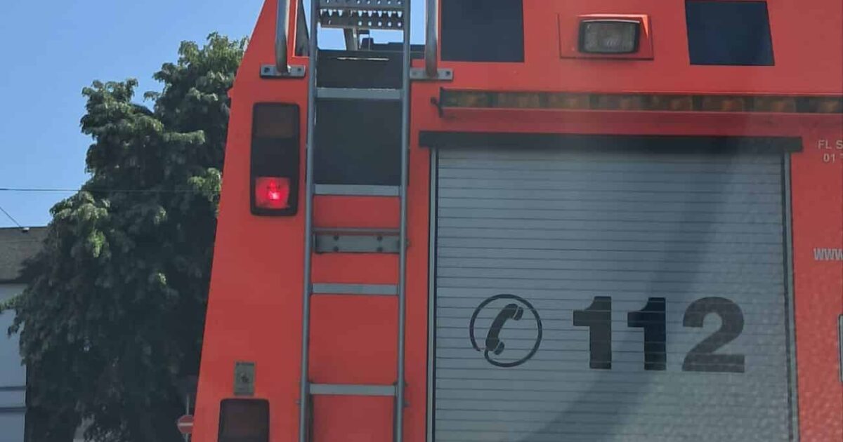 New findings on the arson attack on Wuppertal synagogue